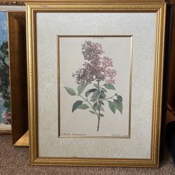 Framed art