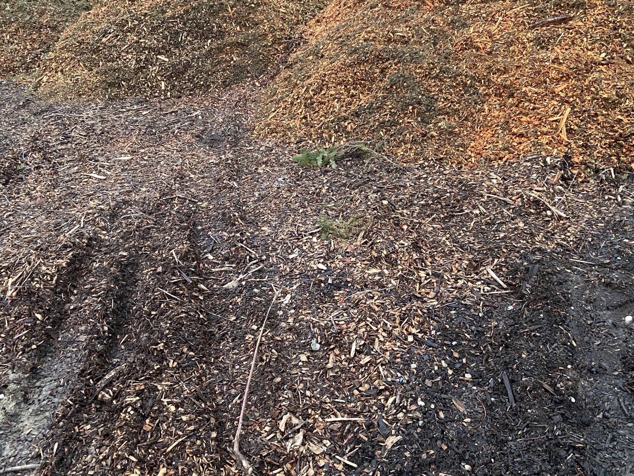 Free Wood Chips Midland Summit - Puyallup Tacoma