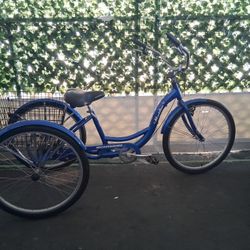 Schwinn Trike 