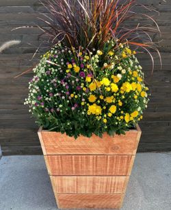 Tapered Planter Box