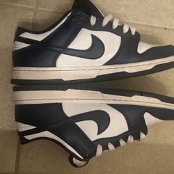 Nike Dunks Navy Blue Used