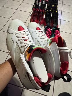 Hare 7 size 14