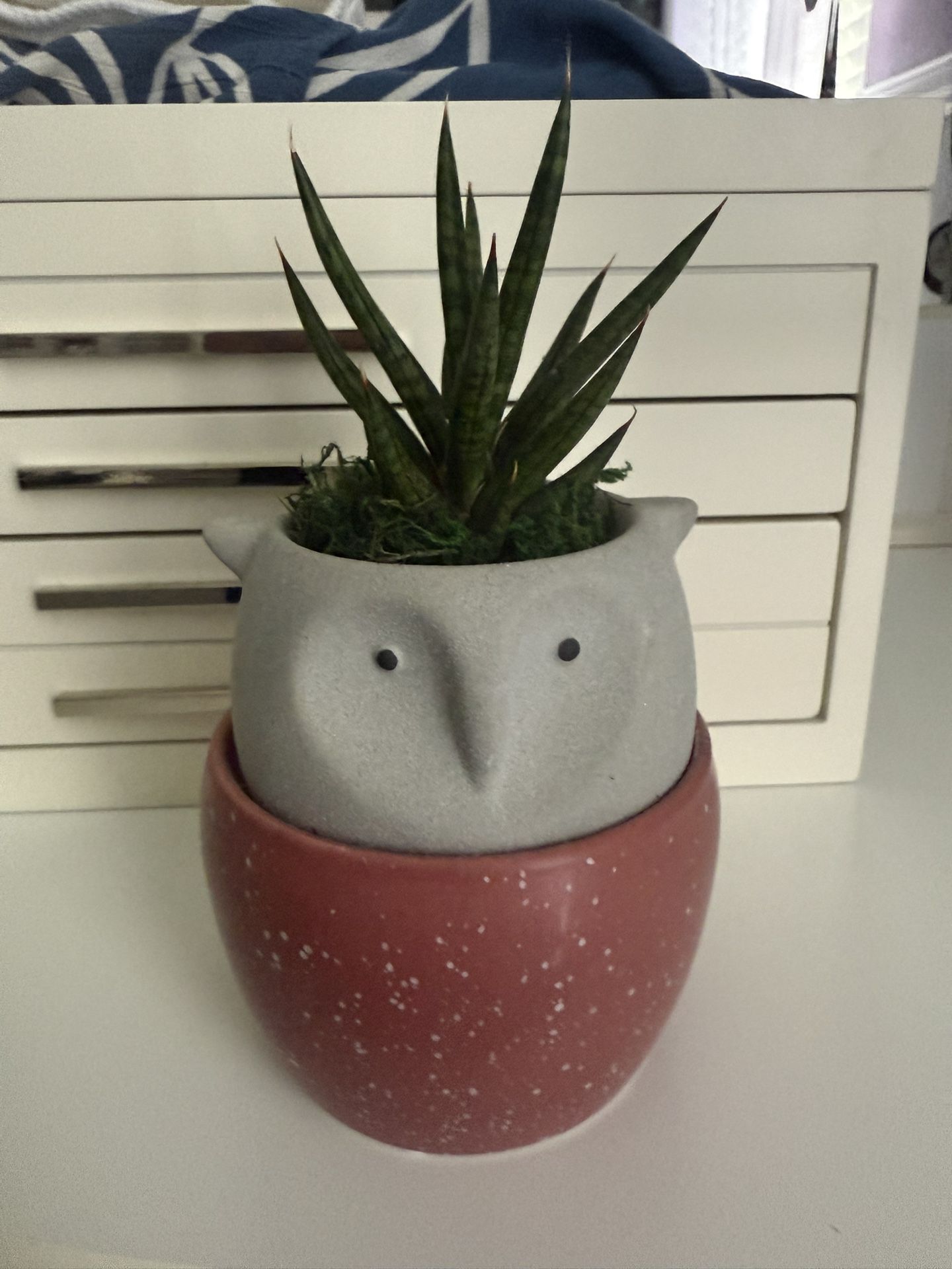small fake plant 