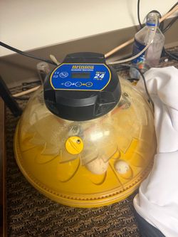 Brinsea 24 Egg Incubator