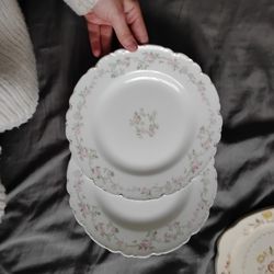 Decorative fine China