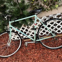 Adult bike needs some work and tires a little rust , $10
