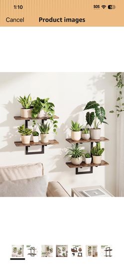 Bamworld Floating Shelves for Wall Planters for Indoor Plants Hanging Shelves Plant Holder Wall Decor Plant Stand Indoor for Plant Hangers Indoor for 