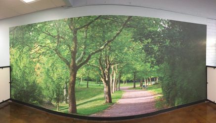 Wall Wraps, Large Format Printing, Decor