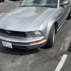 2005. Ford Mustang Convertible 
