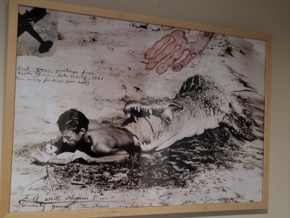Beautifully Framed Peter Beard Photograph From Lake Rudolf Kenya 1965