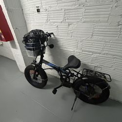 Electric Bike