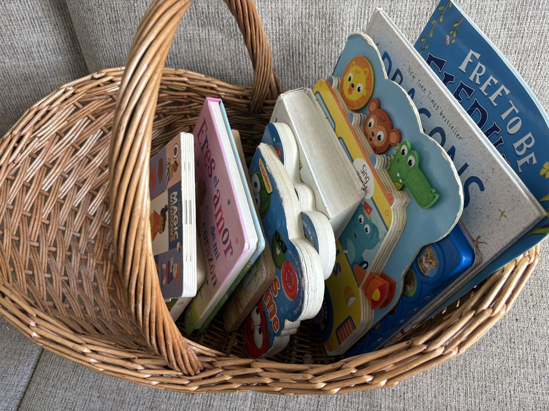 TODDLER BOOK LOT