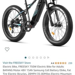 FreeSky 750W EBike