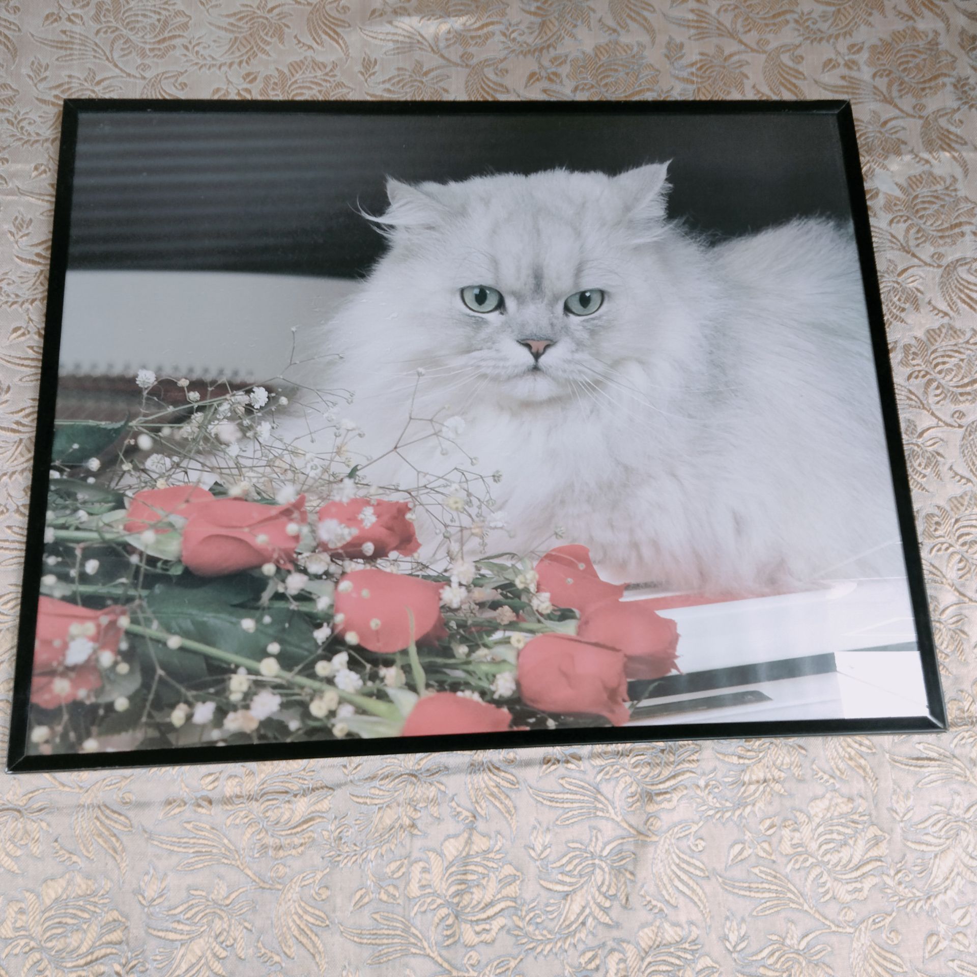 Cat art