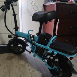  electric bike 2 Seat 