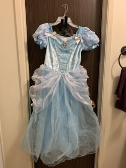 Cinderella light up costume
