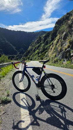 TREK RACE BIKE CARBON FIBER FRAME AND WHEELS