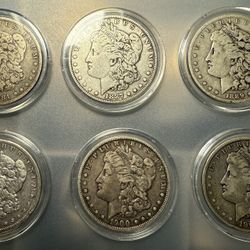 (6) Morgan Silver Dollars 