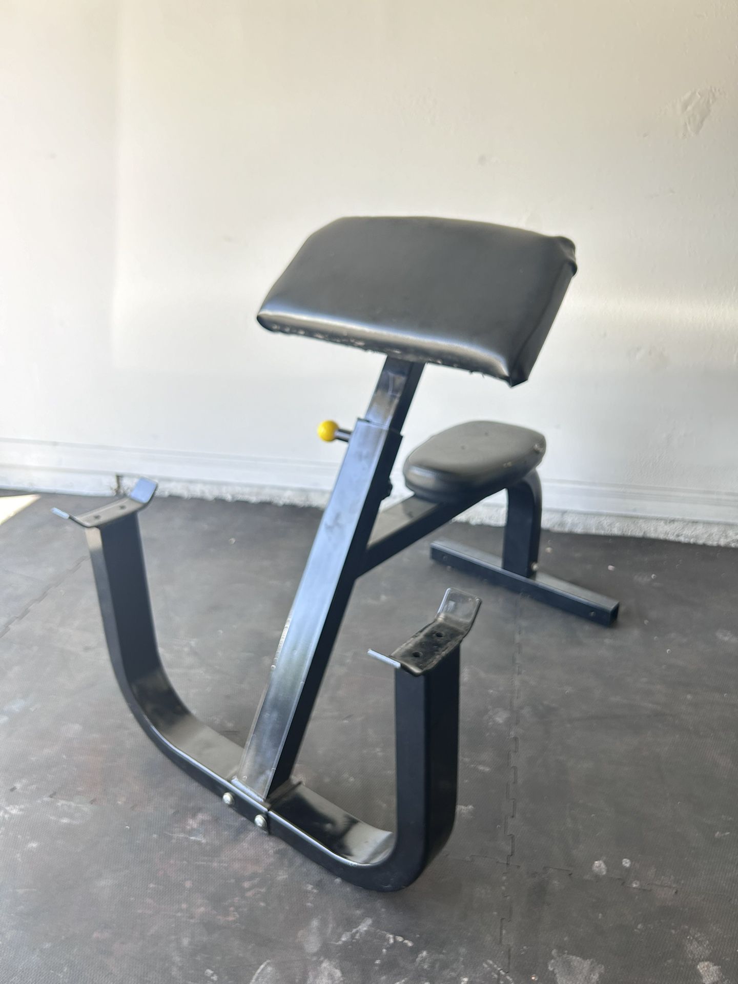 Curl Bench / Station