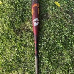 Demarini 2021 voodoo one BBCOR 