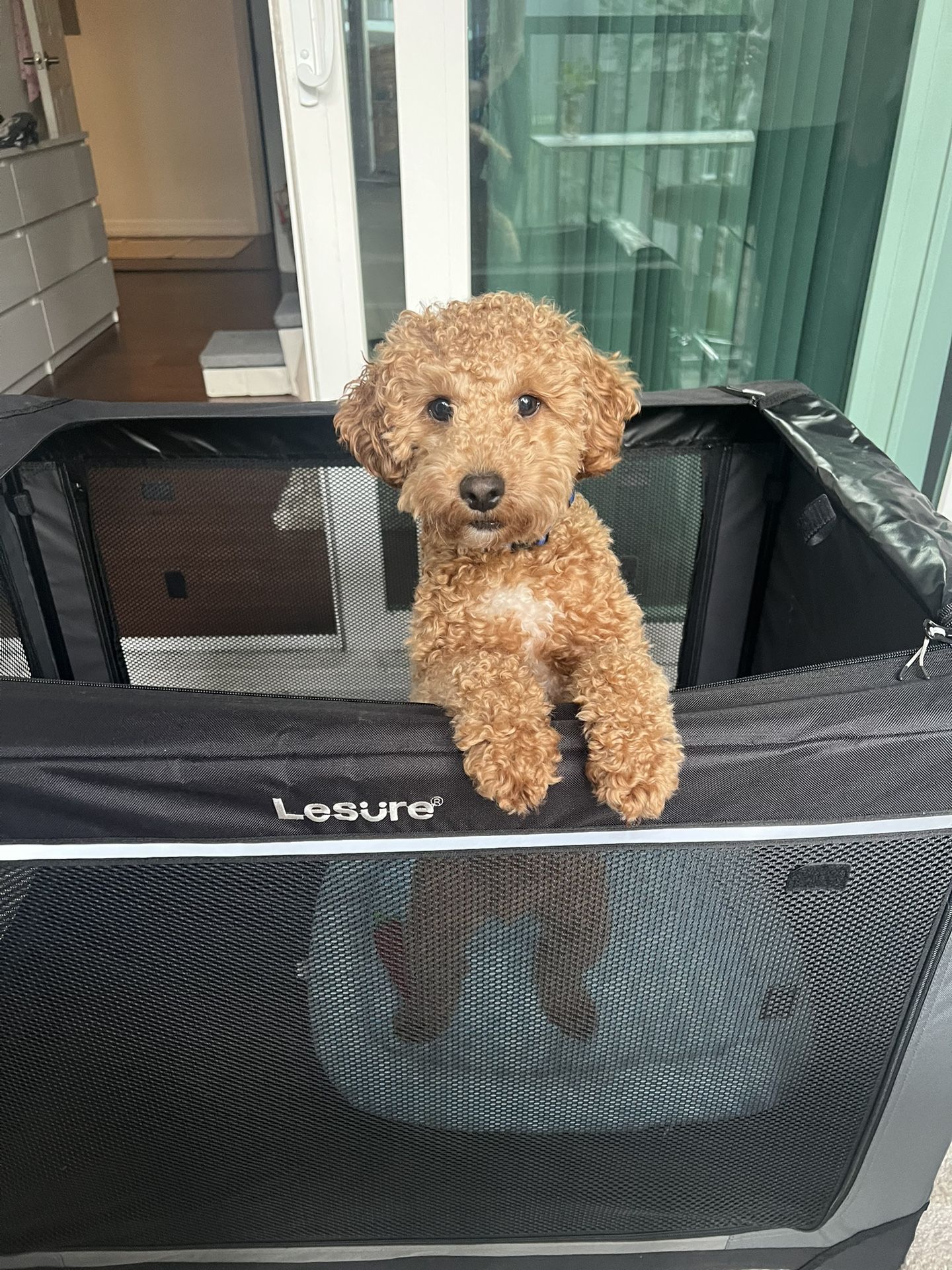 Dog Crate / Bed / Travel