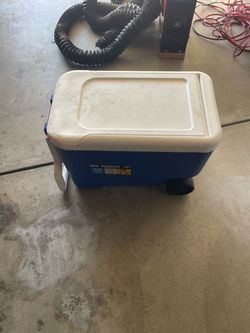 Cooler ice chest