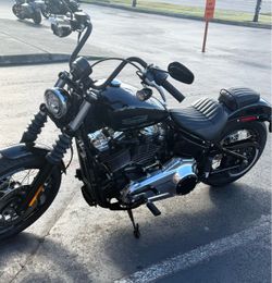 2026 street bob