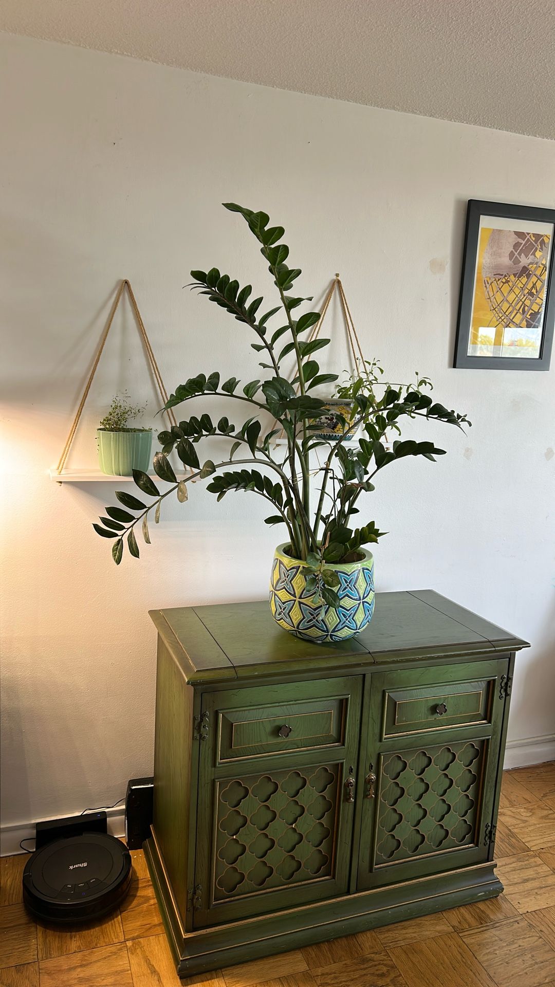 Plant