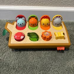Fisher Price Hide and Peek Pop Up Toy