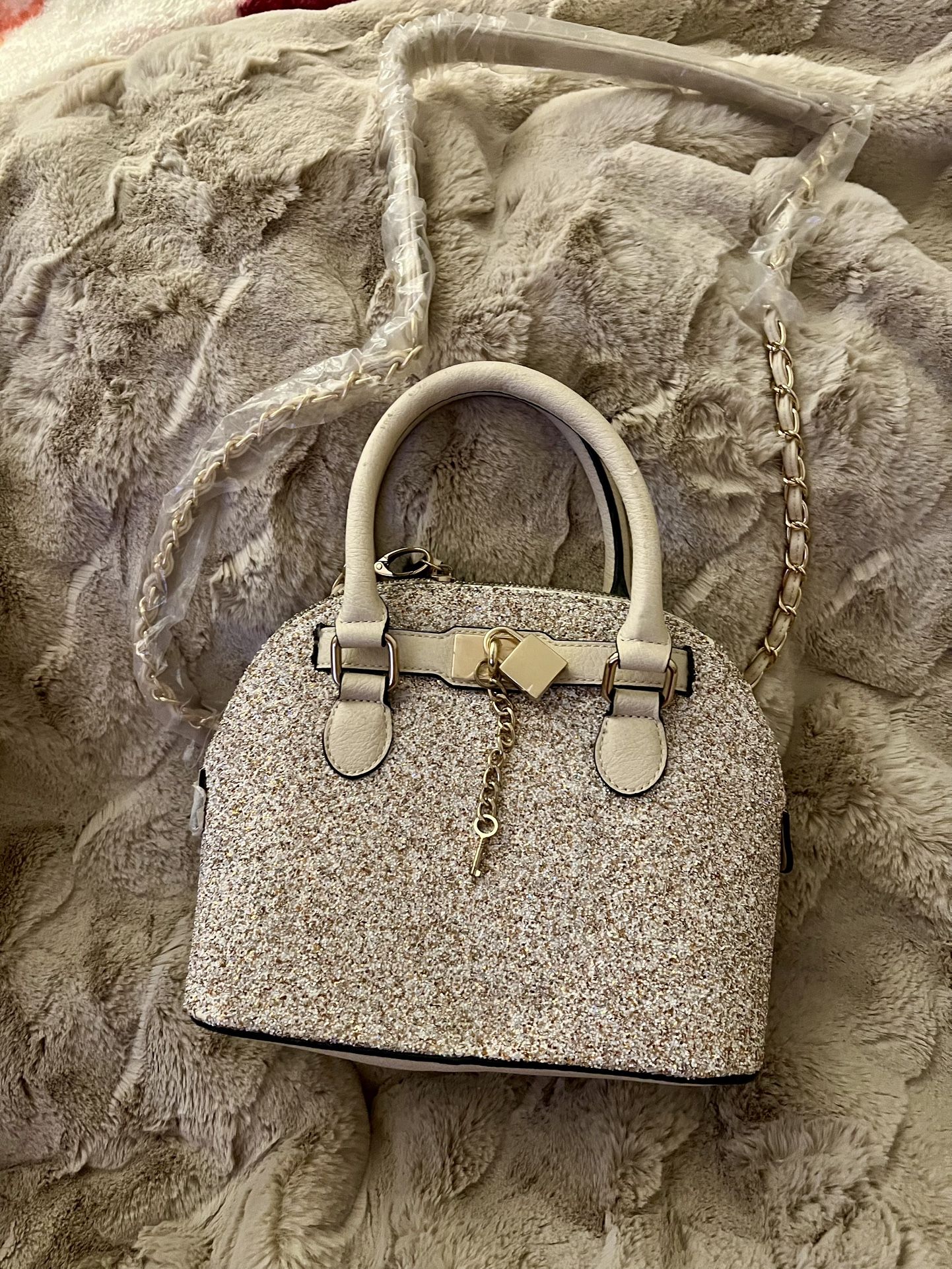 ALDO Purse π