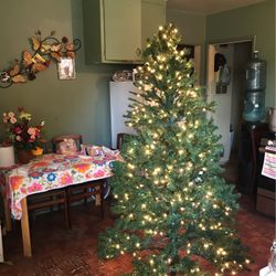 Árbol 🌲 7ft