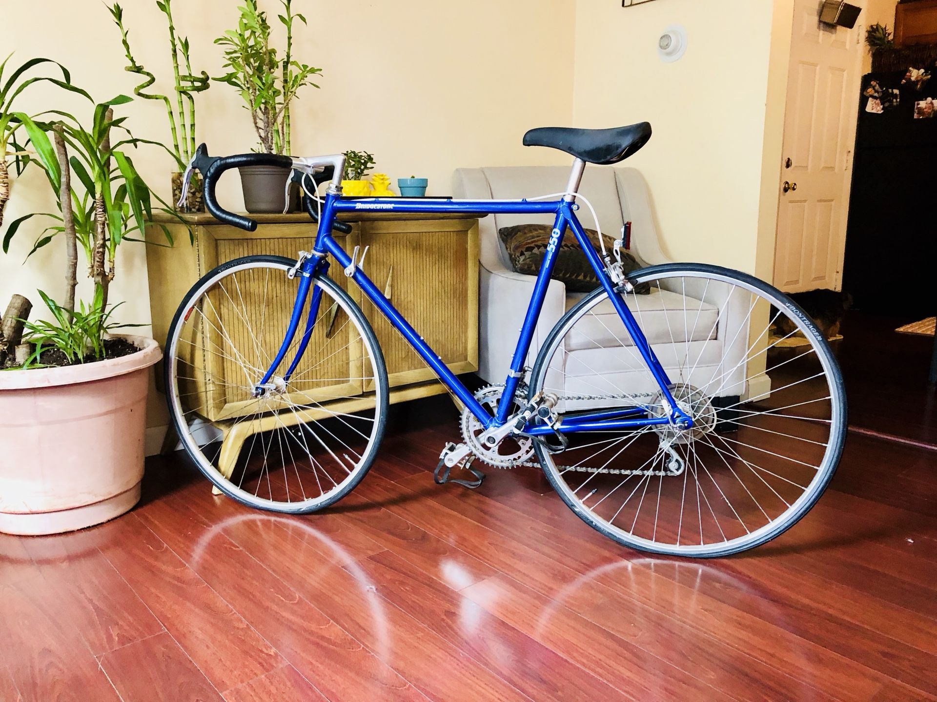 Bridgestone 550 Bike AMAZING Condition