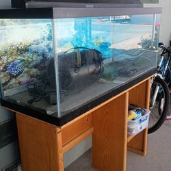 36 by 18  fish tank