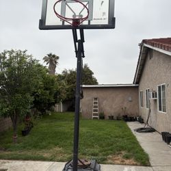 Basketball Hoop