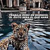 Douglas Guevarra