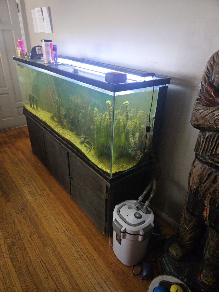 150 Gallon Aquarium