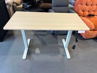 Adjustable Height Desk, 48x24 inches Electric Stand up Standing Desk