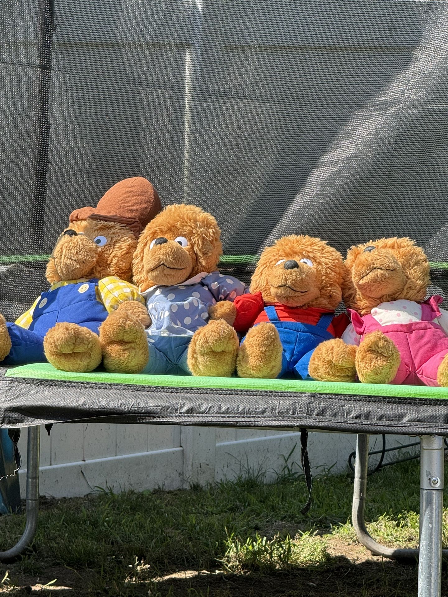 The Berenstain Bear 1993 