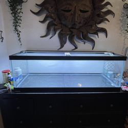 55 Gallon Fish Tank With Light Bar 