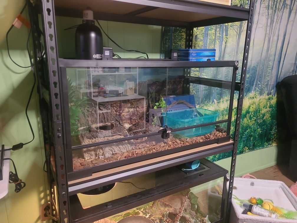 40 Gallon Reptile Tank