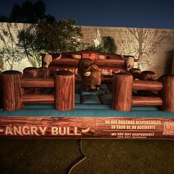 Mechanical Bull