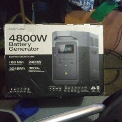 Ecoflow 4800 Watt Battery Generator 