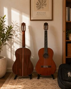 Acoustic guitar