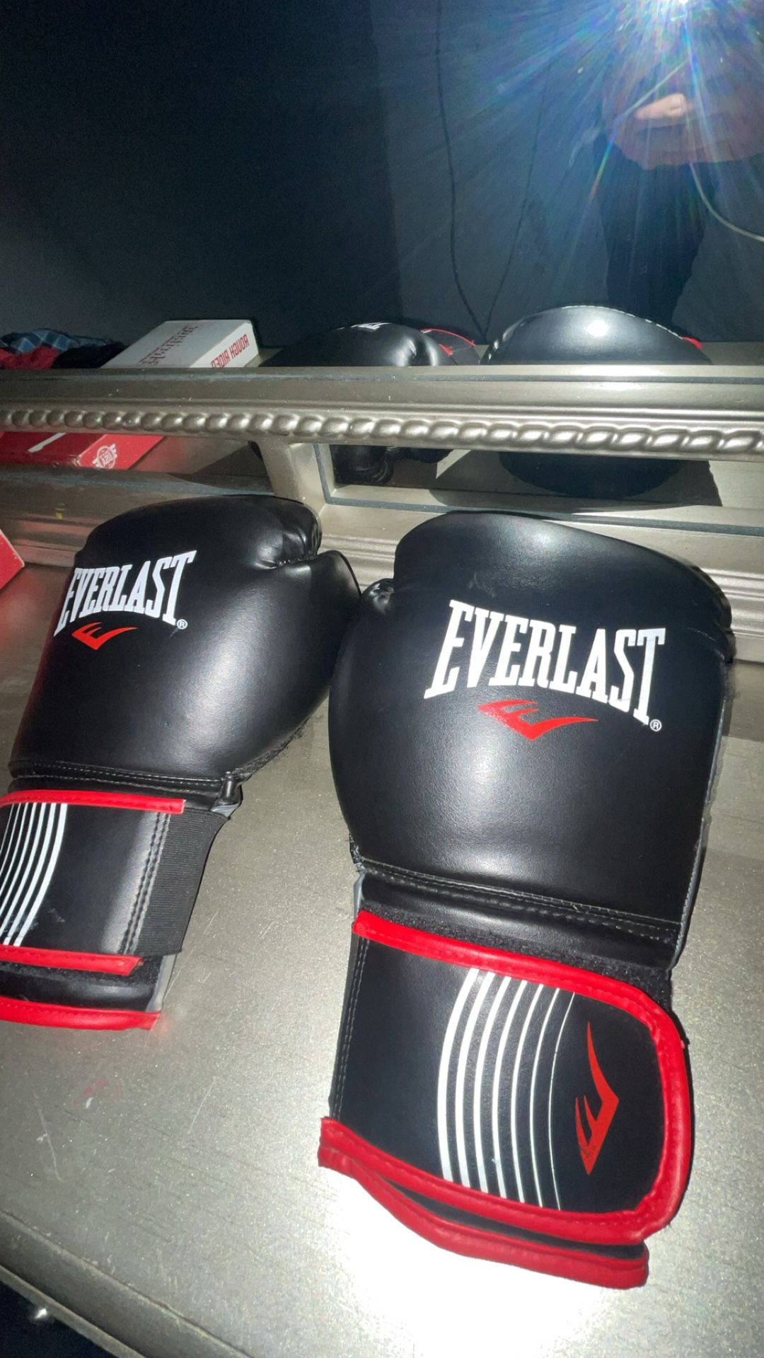 EverLast Boxing Gloves