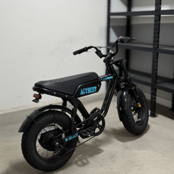2025 Actbest Striker Moped-Style E-Bike – Good Condition, 45mi Range - Lawrence Township, NJ