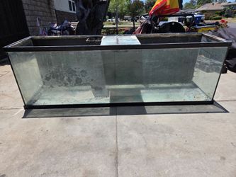 Fish tank