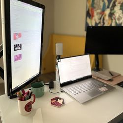 HP Monitor + Desk Mount
