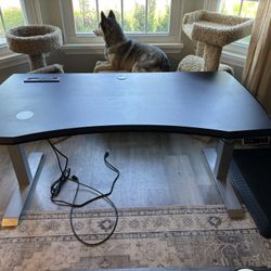 WorkPro Electric Sit/Stand Desk