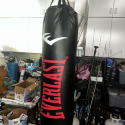 Everlast Punching Bag for Sale in Issaquah, WA - OfferUp