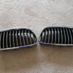 2011 BMW 535i Front Grill